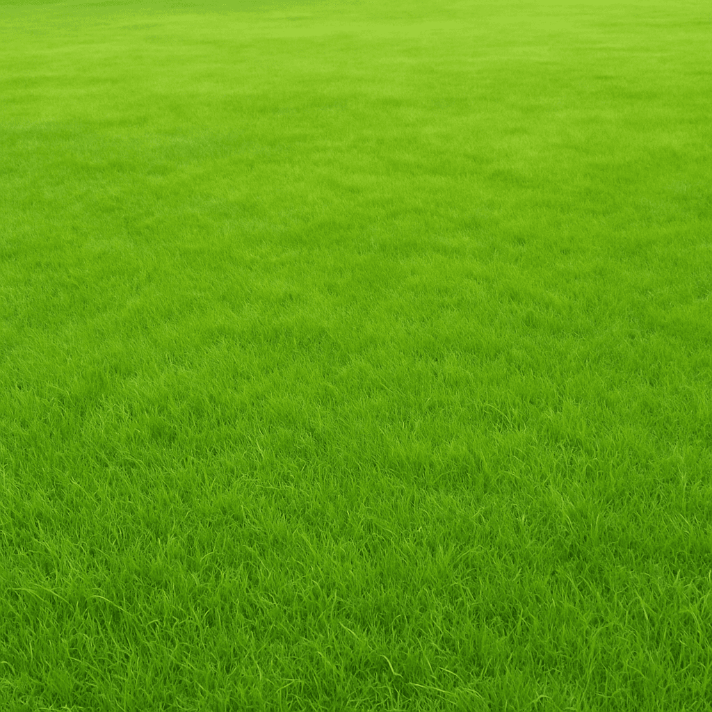 Benefits of Choosing the Right Turf Grass for Your Lawn