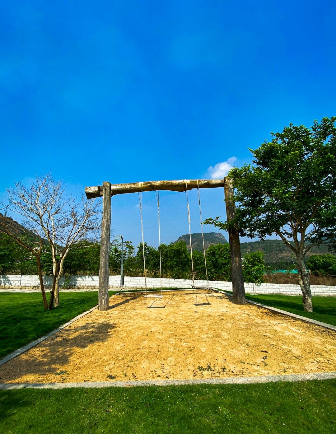 Students learning outdoors on artificial grass