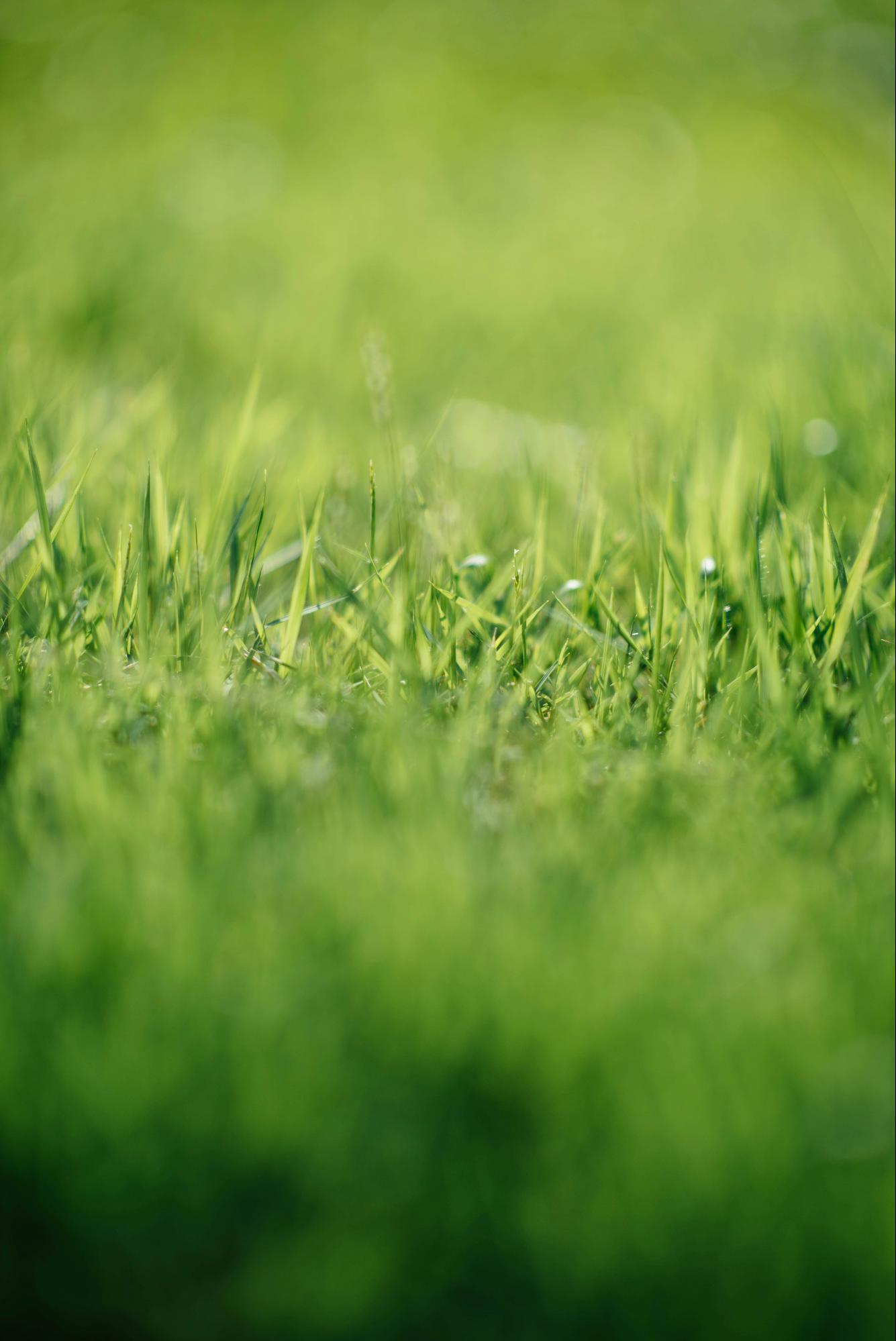 Artificial turf sports field with infill systems