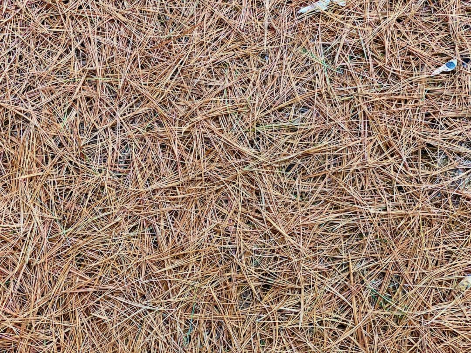Artificial turf sports field with infill systems